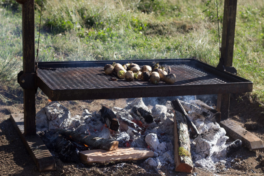 Wallow & Root Farm Dinner with Tournant and Piccone's Corner Photo by Steven Shomler