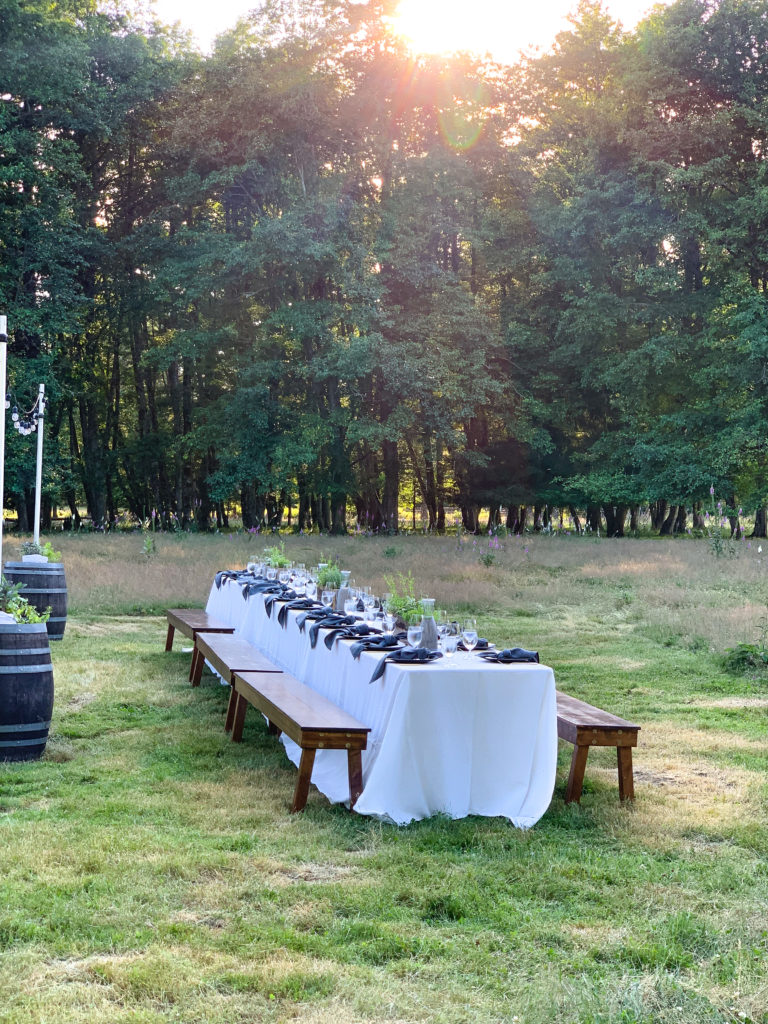 Wallow & Root Farm Dinner with Tournant and Piccone's Corner Photo by Steven Shomler