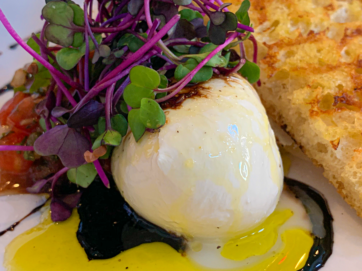 Dinner at Blacksmith Italian – A Truly Magnificent Meal by Steven Shomler Culinary Treasure Network 