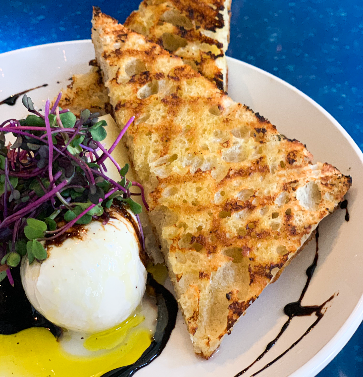 Dinner at Blacksmith Italian – A Truly Magnificent Meal by Steven Shomler Culinary Treasure Network 