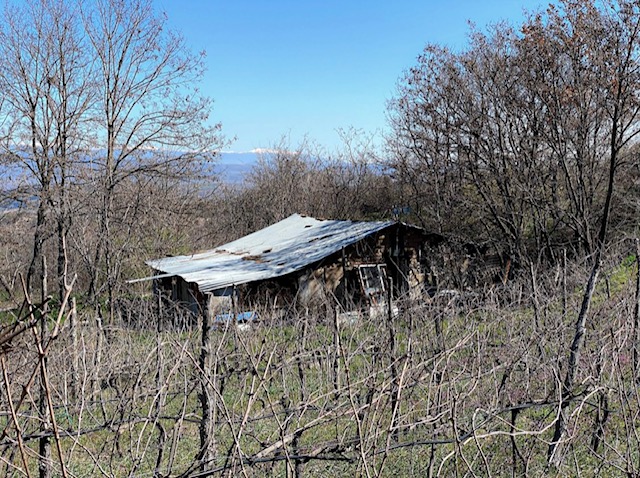 International Xinomavro Day Nov 1st 2020 – Enjoying a Bottle 2016 Xinomavro From Sakalaki Winery Plagia Kilkis Greece Culinary Treasure By Steven Shomler 