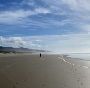Walking the Beach in Nehalem Bay State Park – Adventures on The Oregon Coast