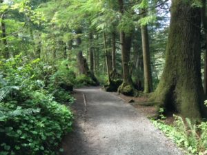 The Best One-Mile Hike In Oregon – Short Sand Beach Trail Oswald West State Park