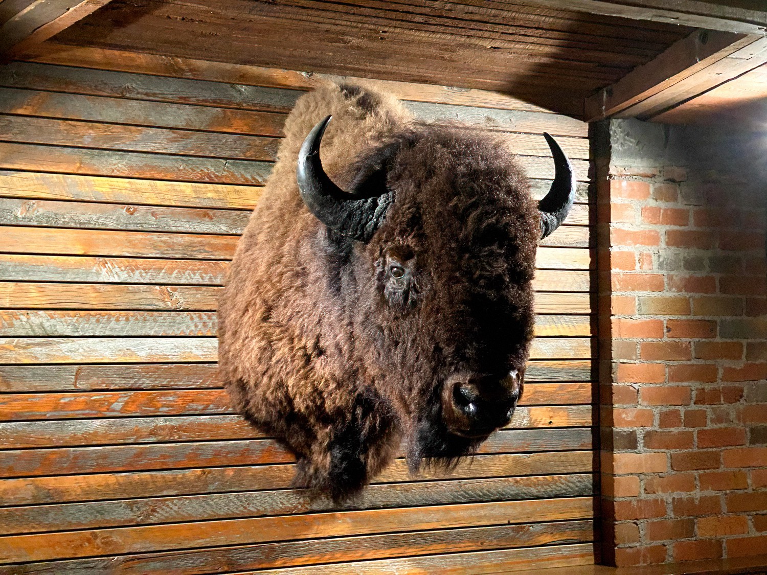 Copper Whiskey Bar & Grill Bozeman Montana This is Culinary Treasure Steven Shomler 