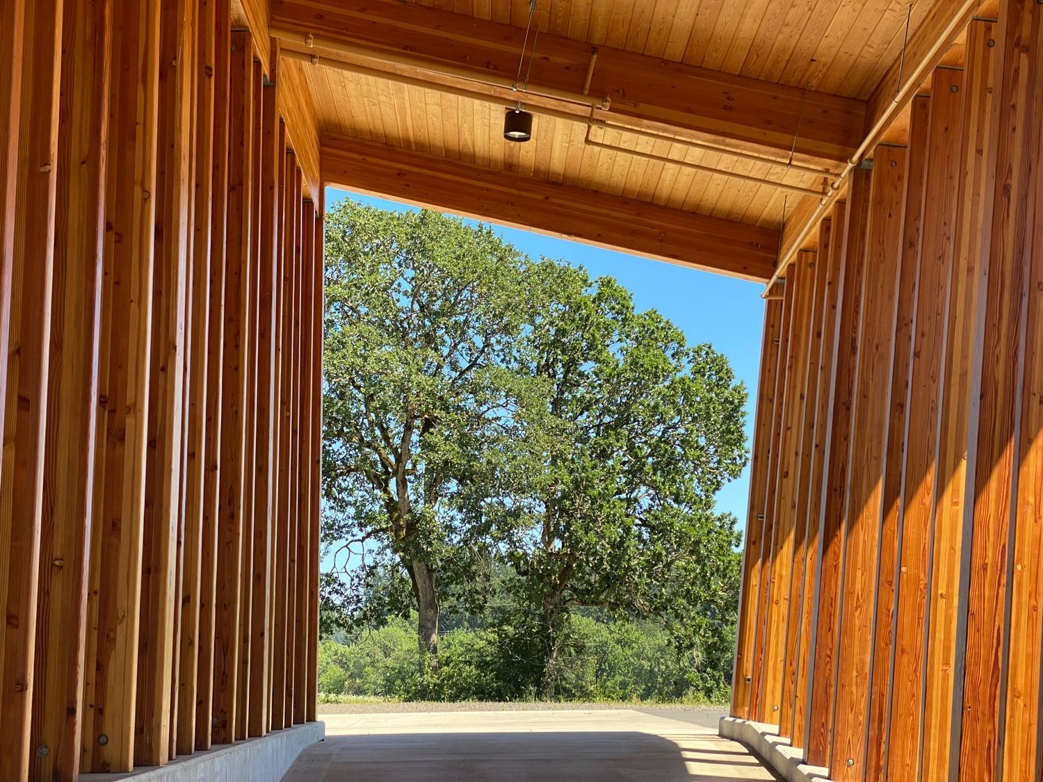 Revealing the Secrets of Abbott Claim – A Carlton, Oregon Winery The Noteworthy Wine journal by Tamara Belgard