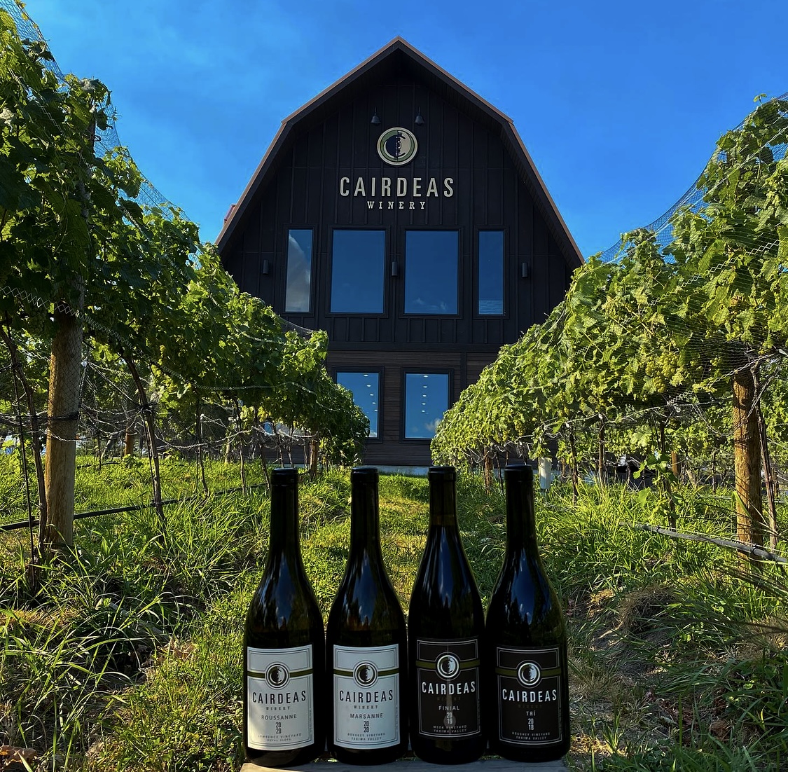 5 Noteworthy Lake Chelan Wineries by Tamara Belgard Noteworthy Wine Journal 