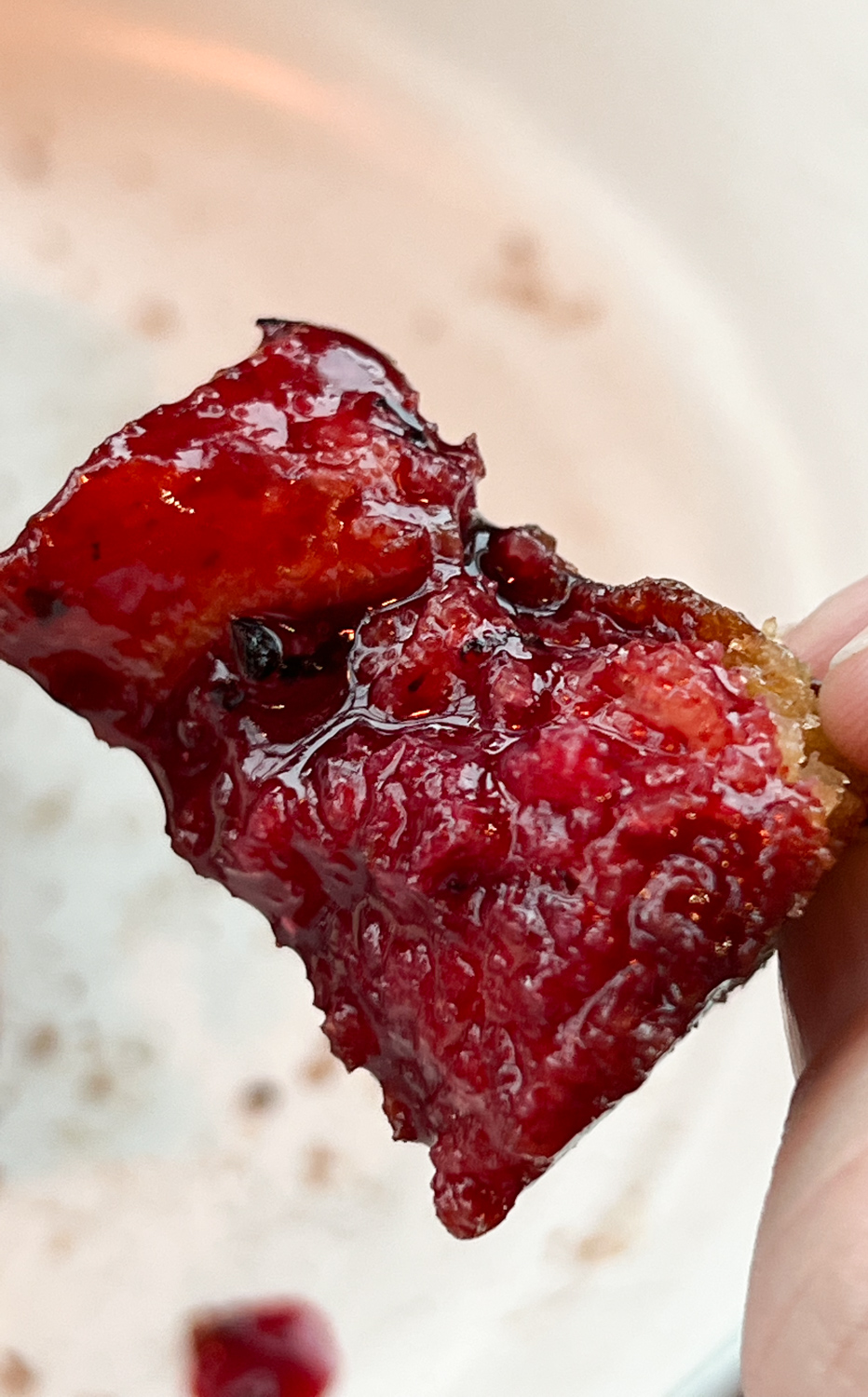 The Piccone Donut - A Culinary Gem! ~OR~ We Present to You - The Phenomenal Picconut! Photos by Steven Shomler Culinary Treasure Network 