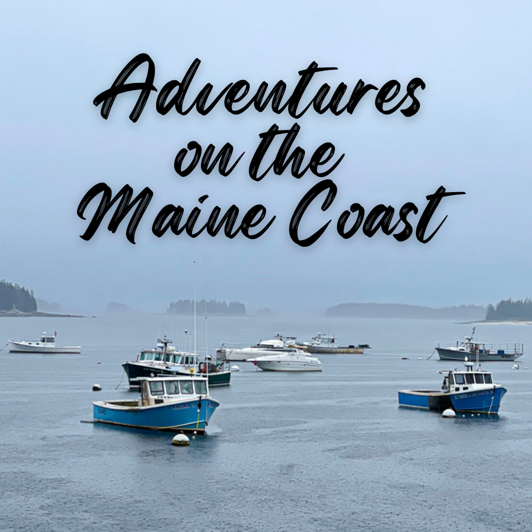 Adventures On the Maine Coast