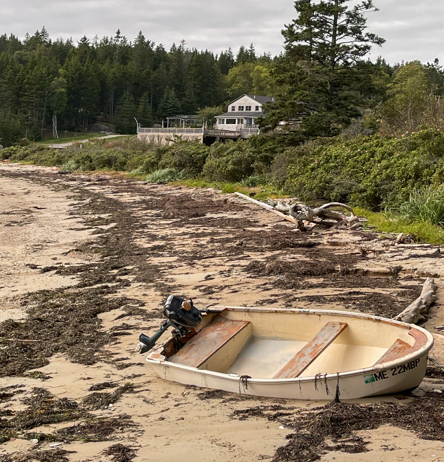 Aragosta on Deer Isle, Maine