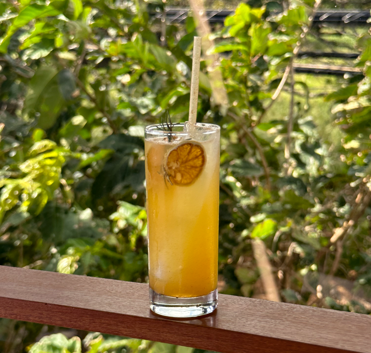 High Tide Tonic Cocktail Friendly Waves Kauai