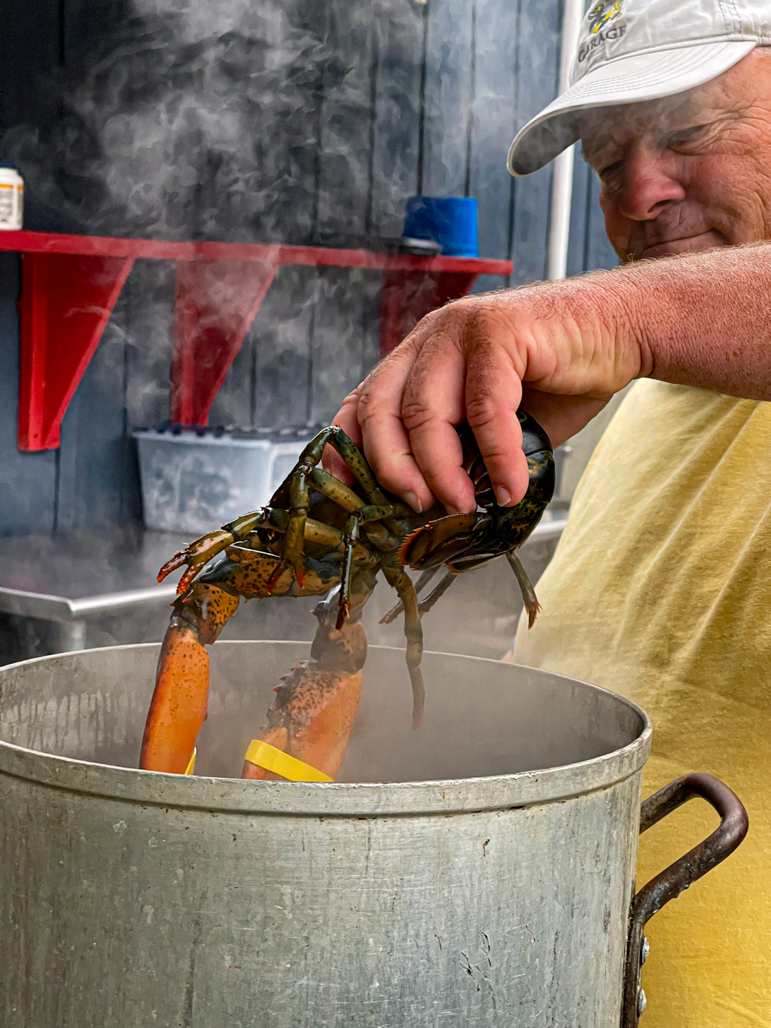 LDI Lobster Little Deer Isle Maine