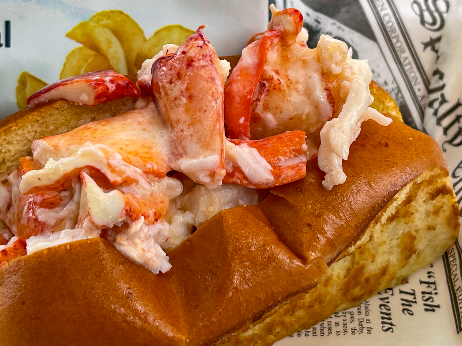 LDI Lobster Little Deer Isle Maine