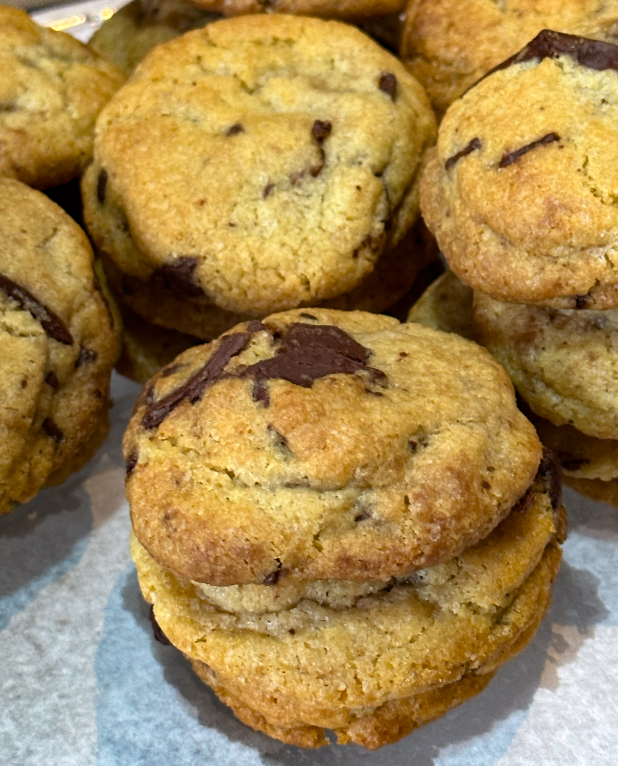 Chocolate Chip Cookies Belize Chocolate Company Caye Caulker