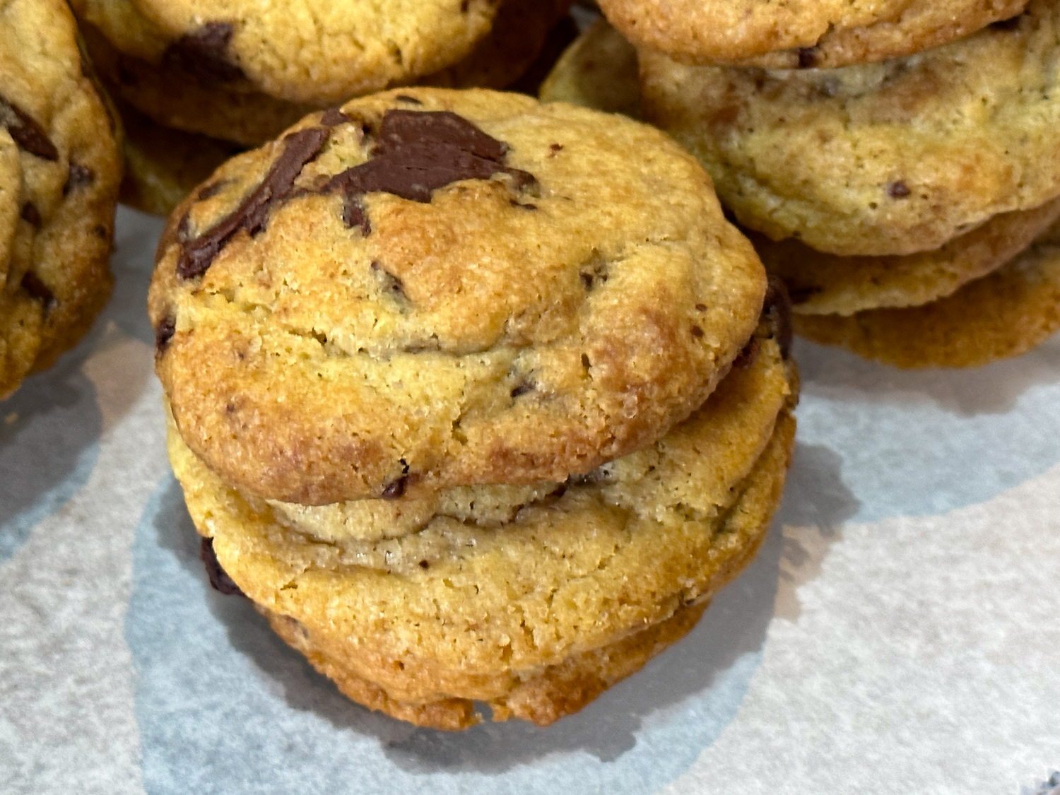 Chocolate Chip Cookies Belize Chocolate Company Caye Caulker