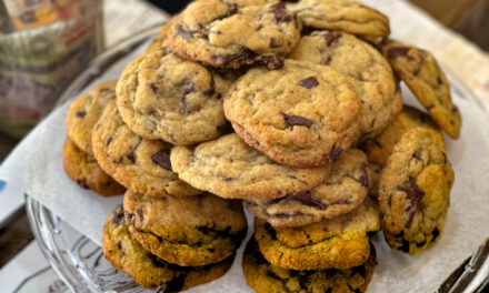 Chocolate Chip Cookies I Still Think About – Belize Chocolate Company Caye Caulker, Belize