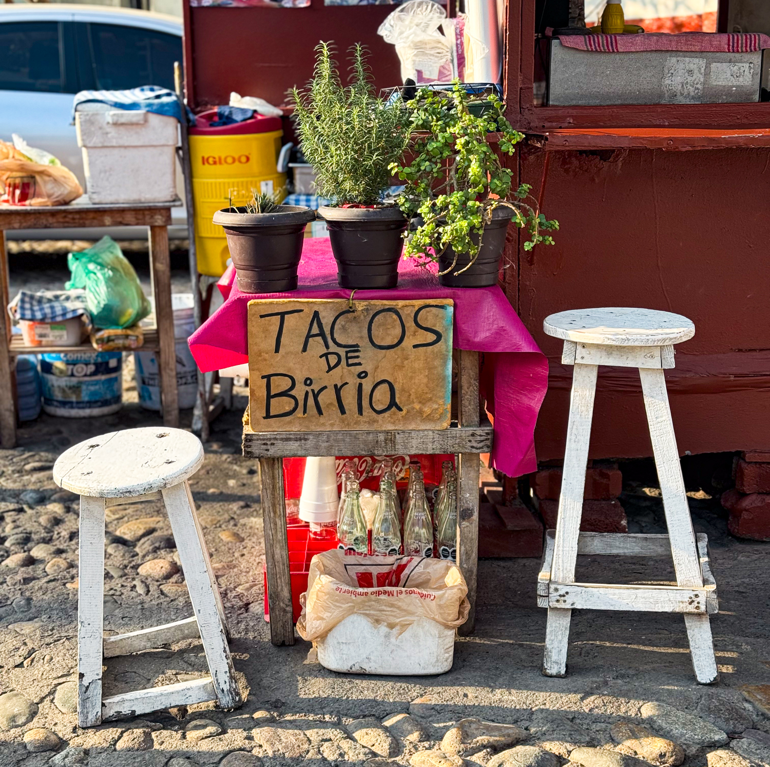 Birria Tacos Taqueria Lupita at Woolworths Puerto Vallarta