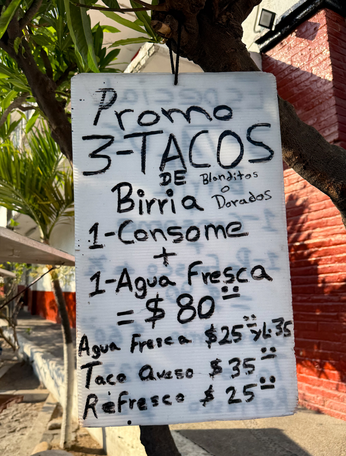 Birria Tacos Taqueria Lupita at Woolworths Puerto Vallarta