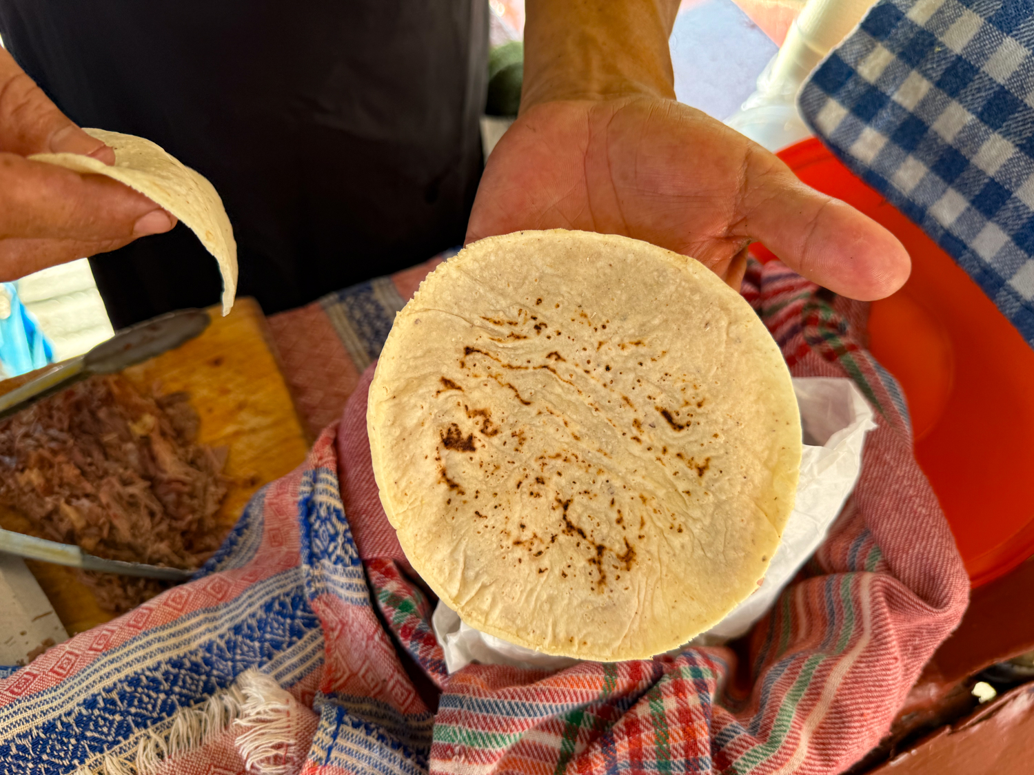 Birria Tacos Taqueria Lupita at Woolworths Puerto Vallarta