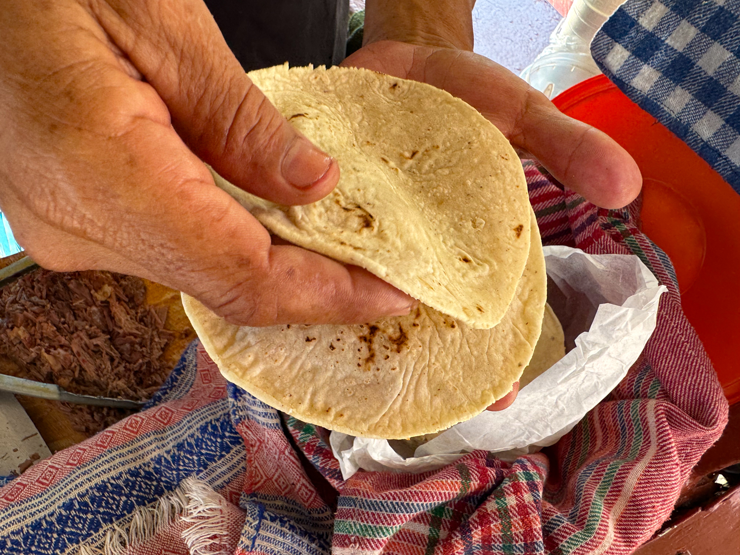 Birria Tacos Taqueria Lupita at Woolworths Puerto Vallarta