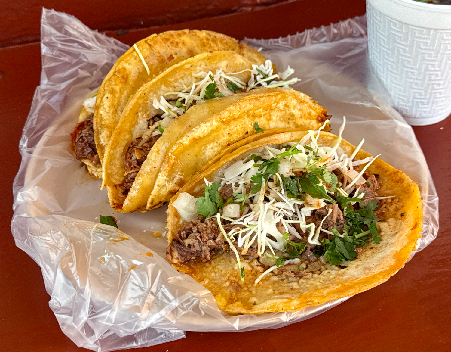 Birria Tacos Taqueria Lupita at Woolworths Puerto Vallarta