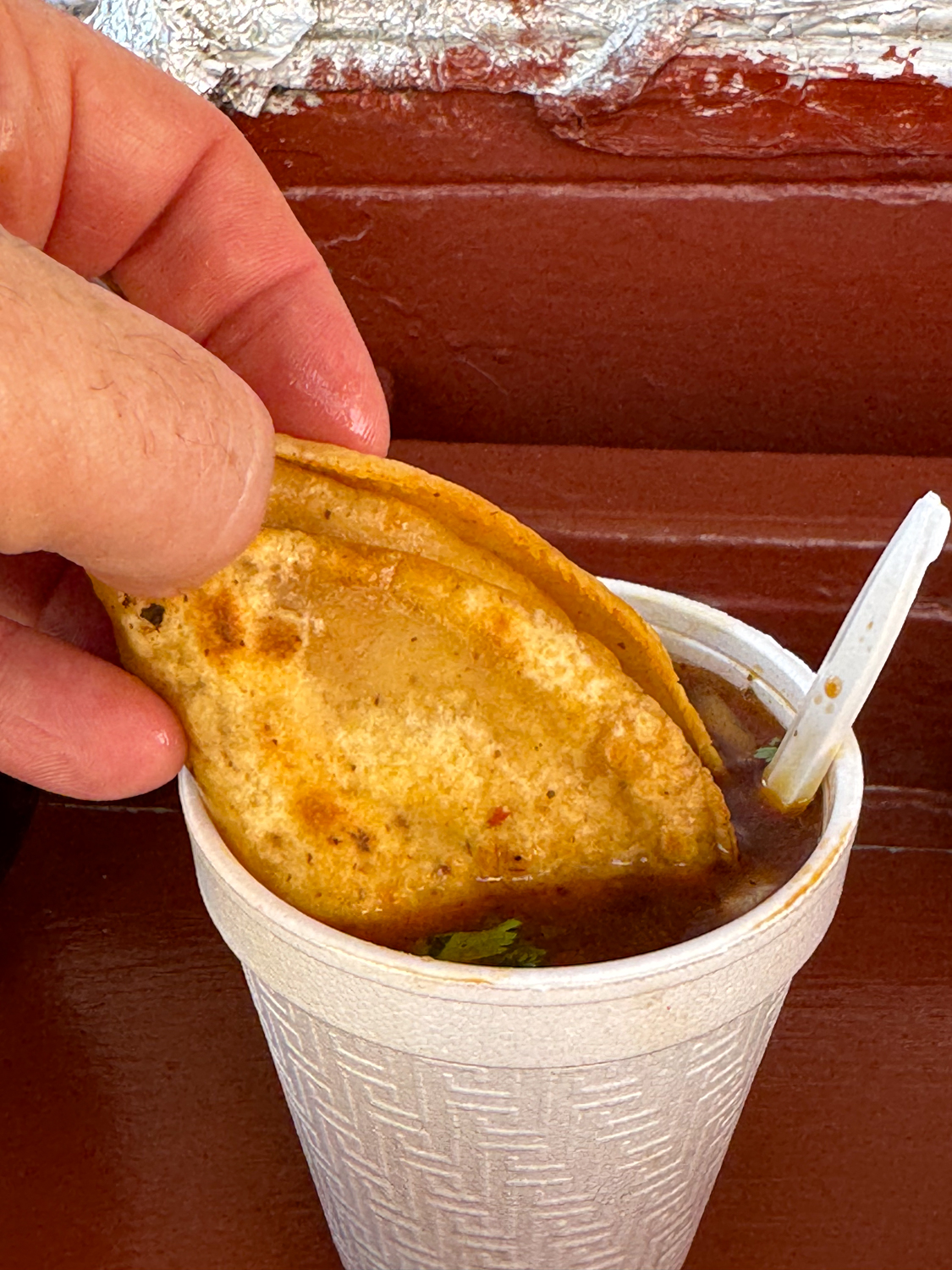 Birria Tacos Taqueria Lupita at Woolworths Puerto Vallarta
