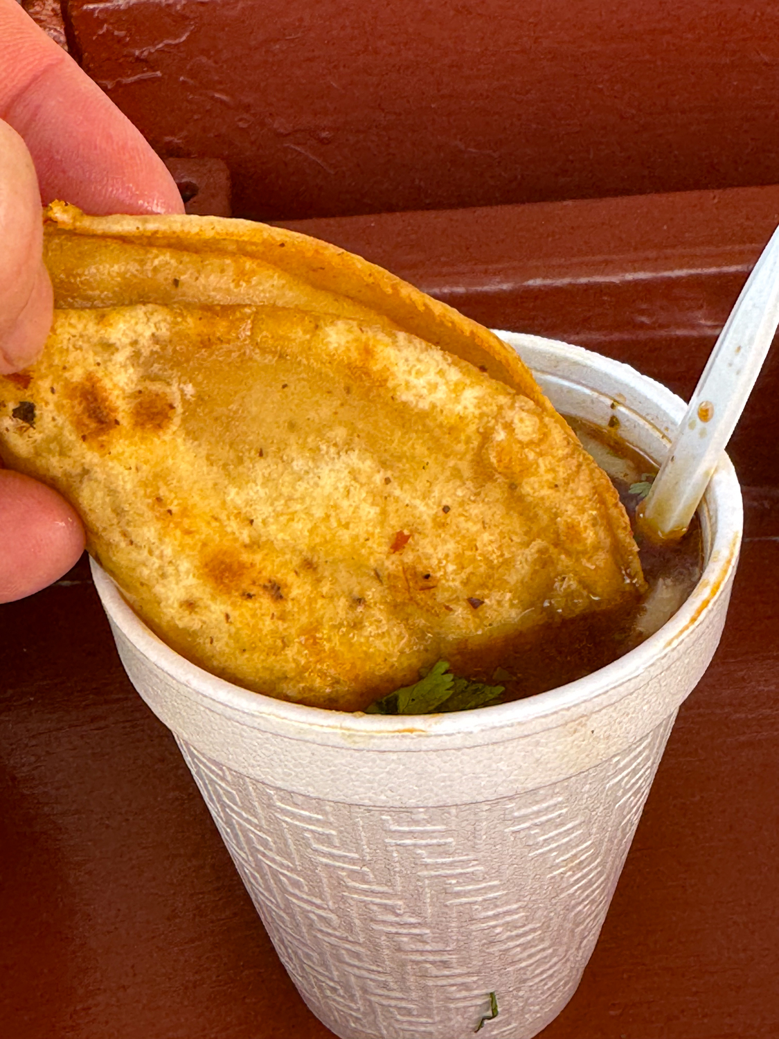 Birria Tacos Taqueria Lupita at Woolworths Puerto Vallarta