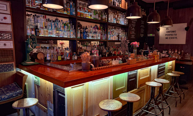 A Palpable Passion for Gin ~ Bobby Gin Barcelona